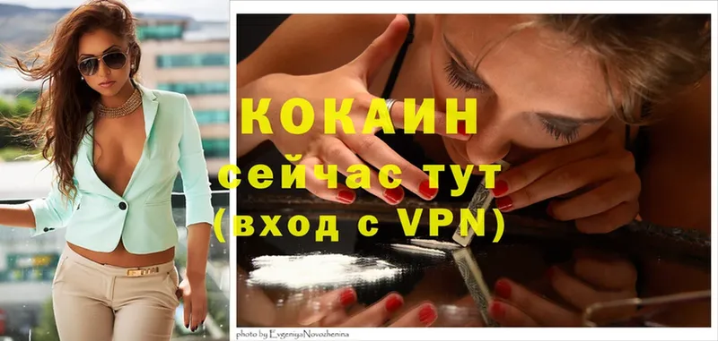 дарнет шоп  Горно-Алтайск  гидра как зайти  COCAIN FishScale 